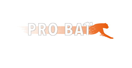 MC Pro Bat